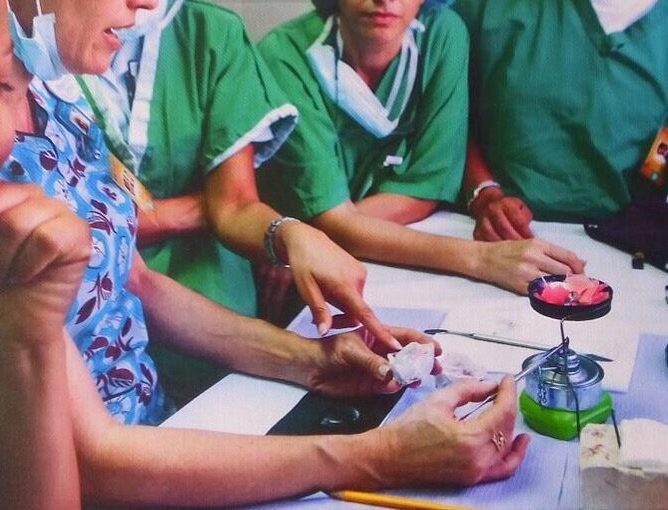 Equipo de profesionales de salud participando en un entrenamiento sobre malformaciones craneofaciales en República Dominicana